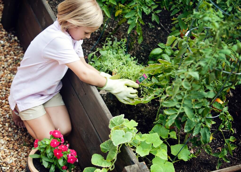 Plant Care Tips